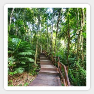 Stairway to Rainforest Heaven Sticker